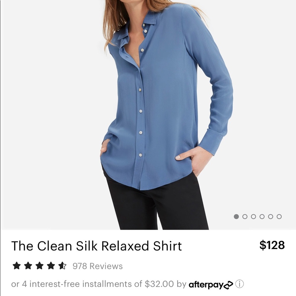 Everlane Size 0 Blue Silk Button Up